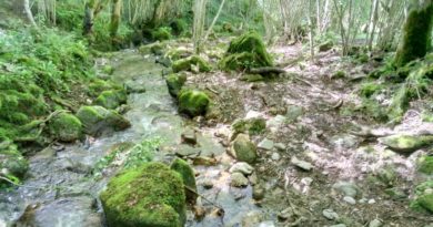 Les types de gisements aurifères dans la nature Les types de gisements aurifères dans la nature
