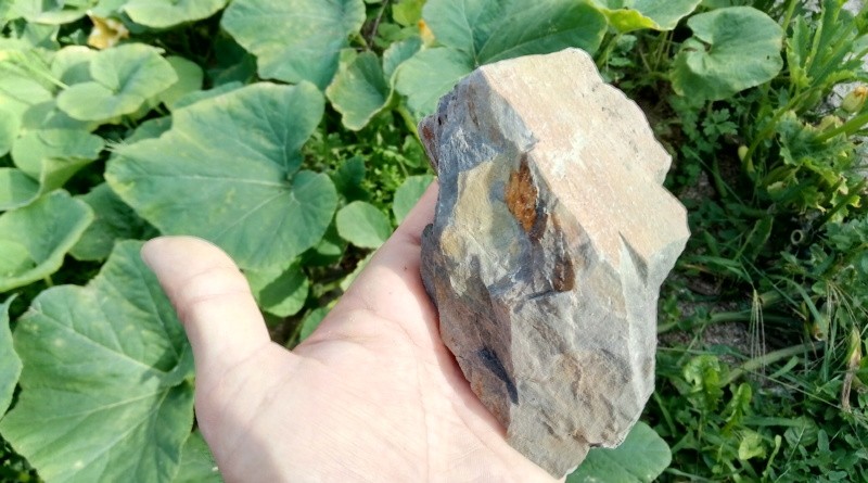 Cours d’orpaillage: Bien observer les couleurs des roches et des pierres, tu devras!