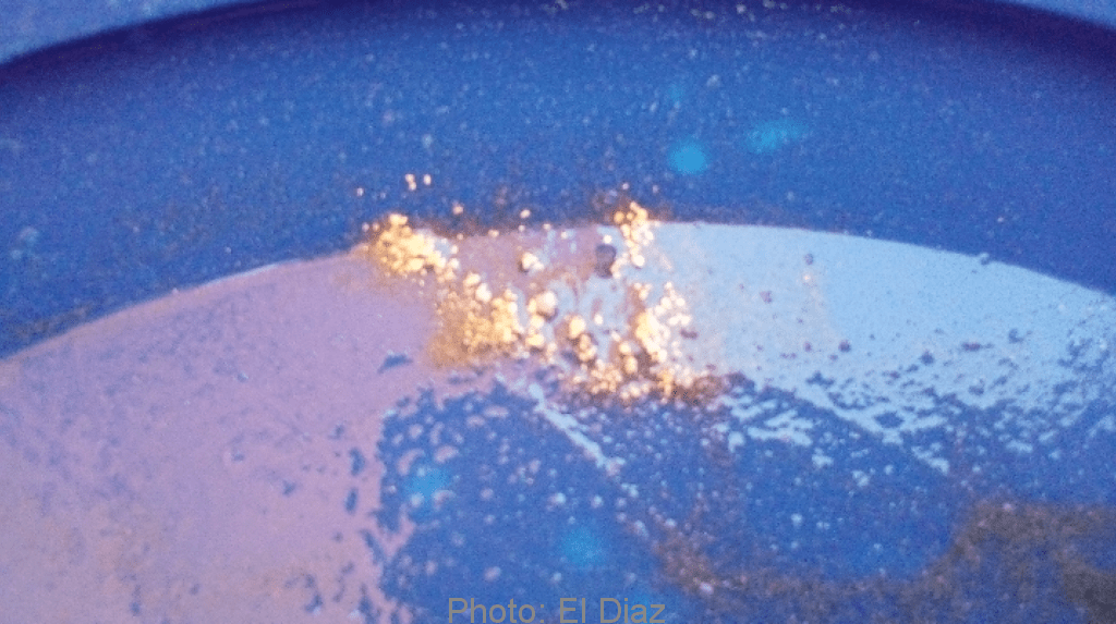 Des paillettes d’or sous 2 gros rochers ovales dans un placier alluvionnaire