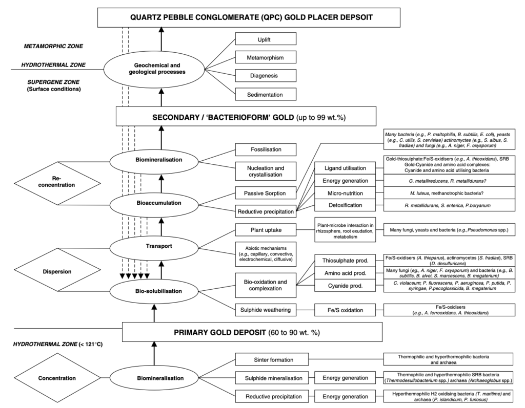 Géochimie, mobilisation et précipitation de l’or dans les cycles d’érosions