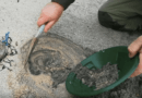 Cours d’orpaillage : chercher de l’or sur les placiers marins (plages des littoraux)