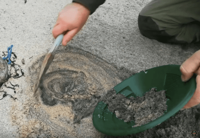 Cours d’orpaillage : chercher de l’or sur les placiers marins (plages des littoraux)