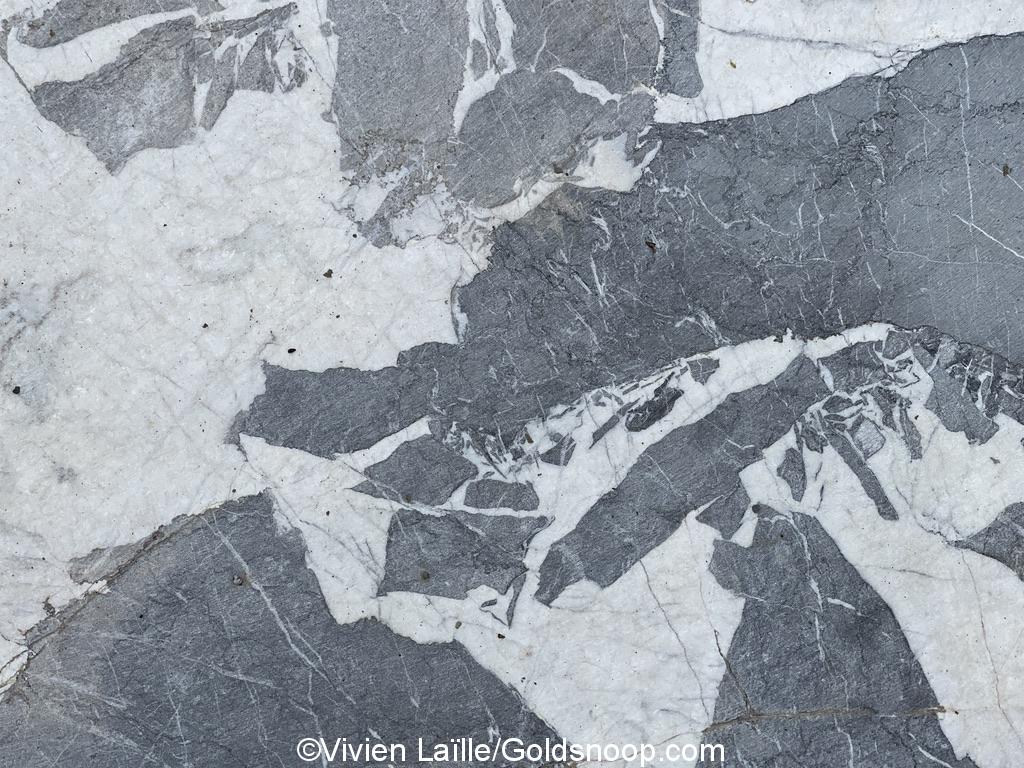 68B64746 CFAE 4D48 8F24 FD850E3CBD7E 1 105 c