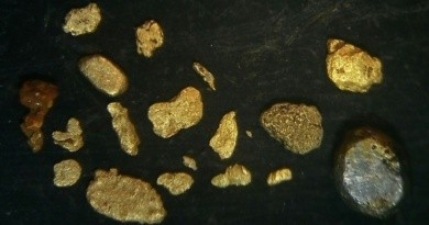 Cycle de l’or : géo-microbiologie et cycle biogénique de l’or (bactéries, champignons, archées, plantes)