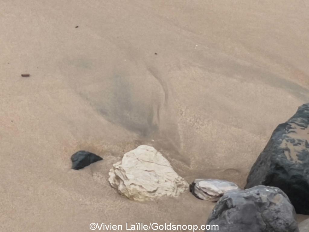 Test prélèvement sables noirs plages Ocean atlantique 21 sur 159 1