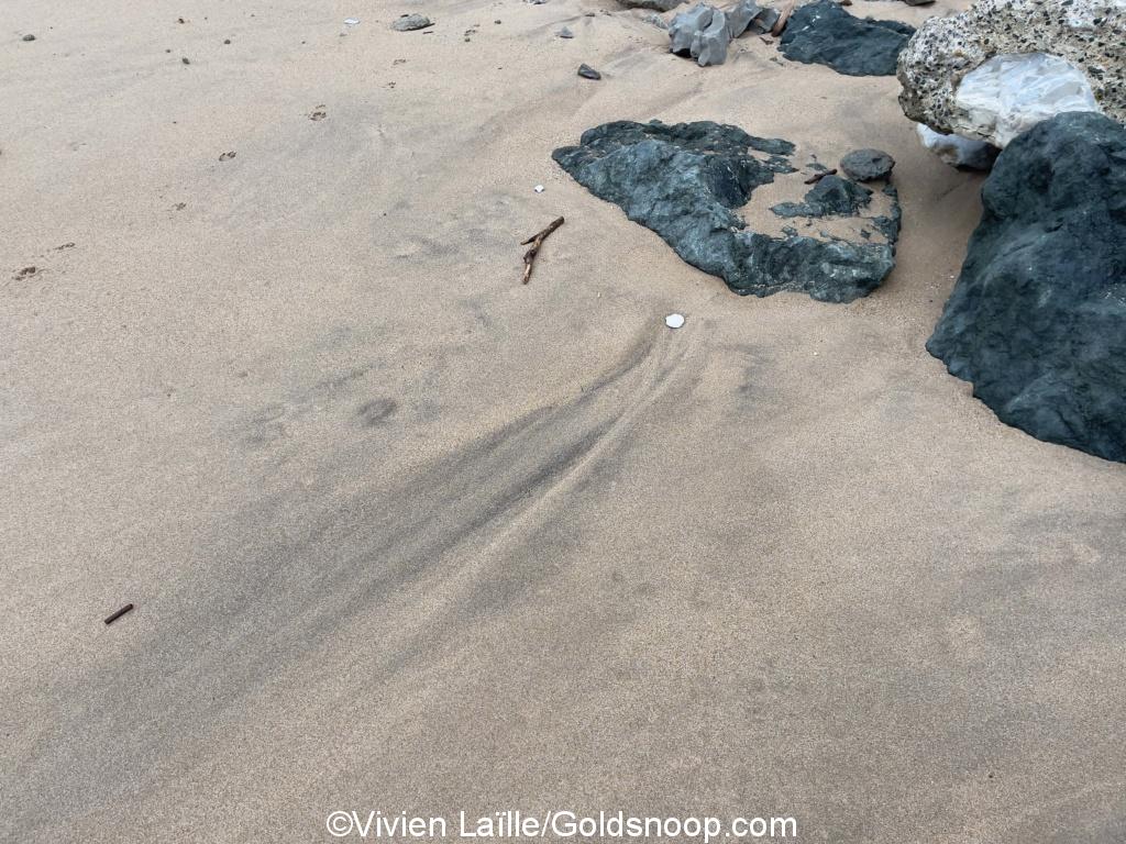 Test prélèvement sables noirs plages Ocean atlantique 56 sur 159