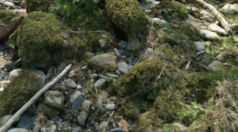 Capture décran 2022 06 21 à 15.28.11