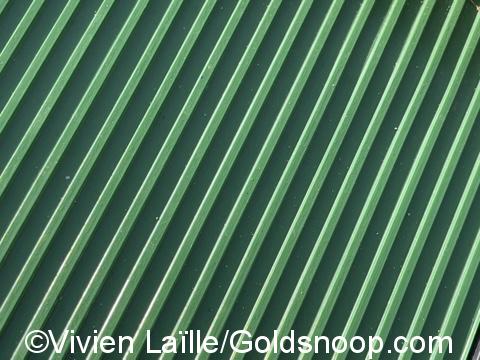 A5A3761A D49C 47B8 B4EC A024EF4D664C 4 5005 c
