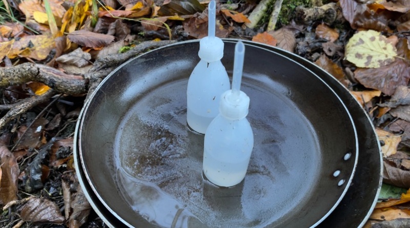 42D997FE F8A7 48B0 B354 362D418CA02D 1 201 a