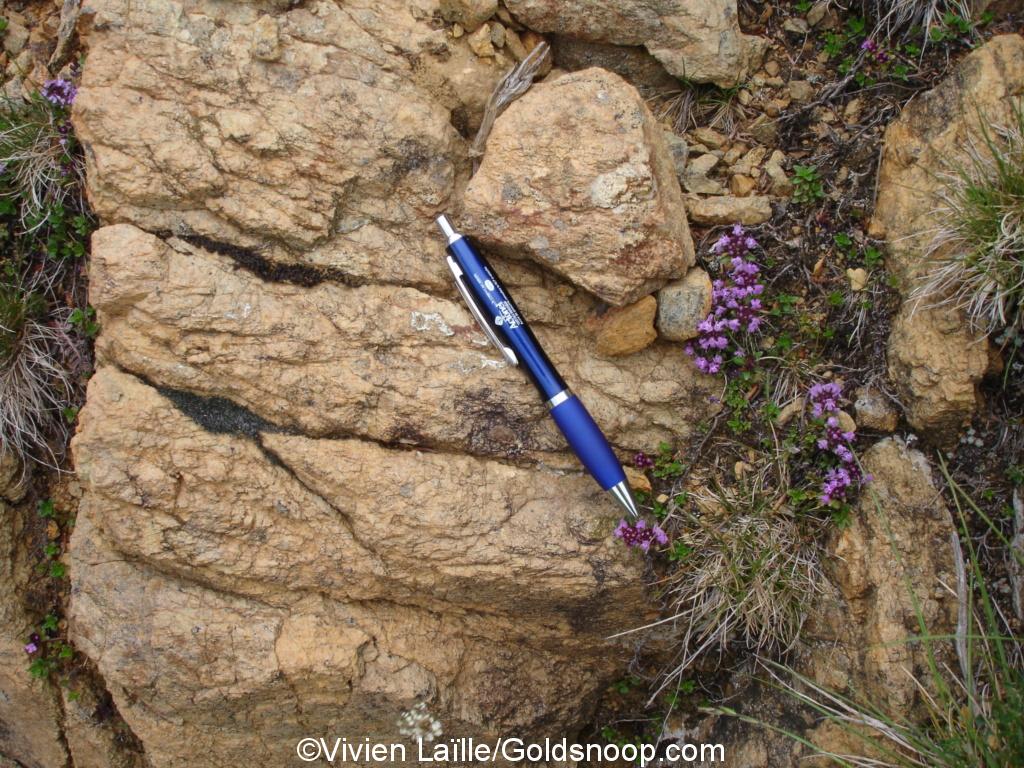 Altérée en surface, elle a une couleur brun rouille caractéristique de la Lherzolite. - Source WIkipedié, photo : Pinpin