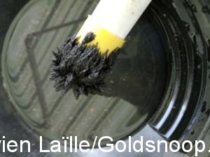 00DFF918 428B 4798 9E12 0E6B9B0C3F10 1 105 c