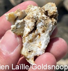 0754FF76 8C87 431A B7D5 E3D24332C35B 1 201 a