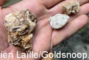 0EE82FED 7F97 4251 8EAA 1648867B7177 1 201 a