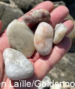 16BB164A 1431 4F5C 85D8 8484EE1866A5 1 201 a