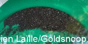 258CC231 1A80 4690 B474 D4EC2980C49F 1 201 a