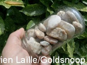 358E840B 2D38 4D8D 9BB2 EB2B8FCAEDB7 1 105 c