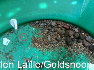 39D279EF AC9B 44DB 9A63 BA8AC2E07301 1 105 c