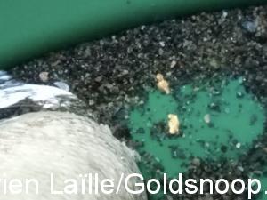 46562B4B 8CDA 45E7 879C A72FD514A0D5 1 105 c