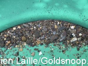 52B00F31 8C71 4A22 96D1 A7D962525F56 1 105 c