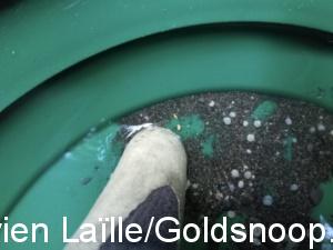 54228B64 3D15 47FA AAC3 22A6BA7AB23F 1 105 c