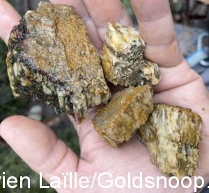 66CA726A 08E6 4249 95B8 4EF24D7DC6D3 1 201 a