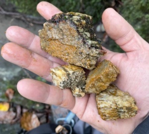 66CA726A 08E6 4249 95B8 4EF24D7DC6D3 1 201 a