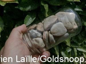 6EC2A9C7 000C 4A75 9166 2D0C28278141 1 105 c