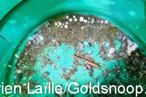 897AFB6C 4240 4E12 9904 A6457AF32148 1 201 a