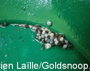 96E0D75E BC6D 4050 94D8 AD264FEA7526 1 201 a