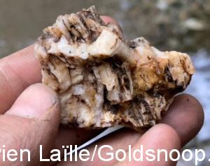 A2F7F835 D959 4274 83DF 5B22FA1A97DD 1 201 a