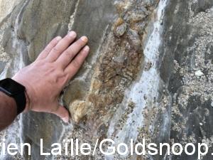 A3C8CB19 E13A 4039 A92C B4E48CB18AB9 1 105 c