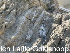 A4A0D062 FBB1 4B46 8690 DDACEA9E1446 1 105 c