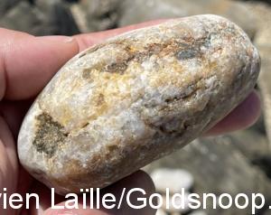 AF2709DA 301D 4B26 8E4D A79037DA3591 1 201 a