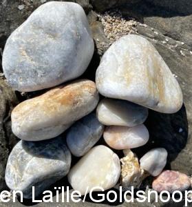 AF766692 79AF 4B4D BA27 561A8365F9B9 1 201 a