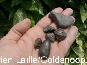 BA1E8842 A0D1 4E63 AE8E C7795D6E6C18 1 105 c