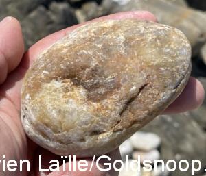 F2CFF4D0 E7CC 4BCF A423 7A6C5D70D0BB 1 201 a