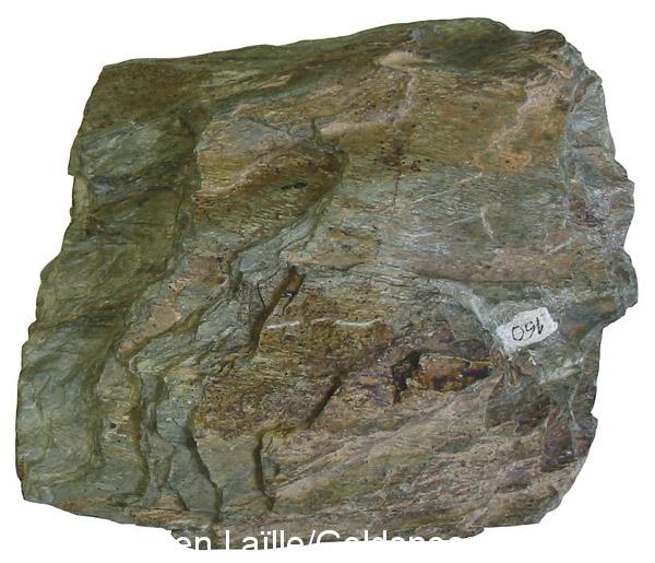 Chlorite schist
