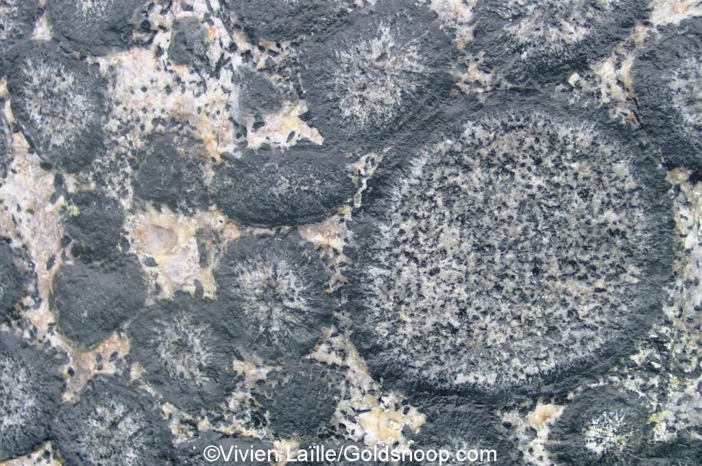 Granite orbiculaire