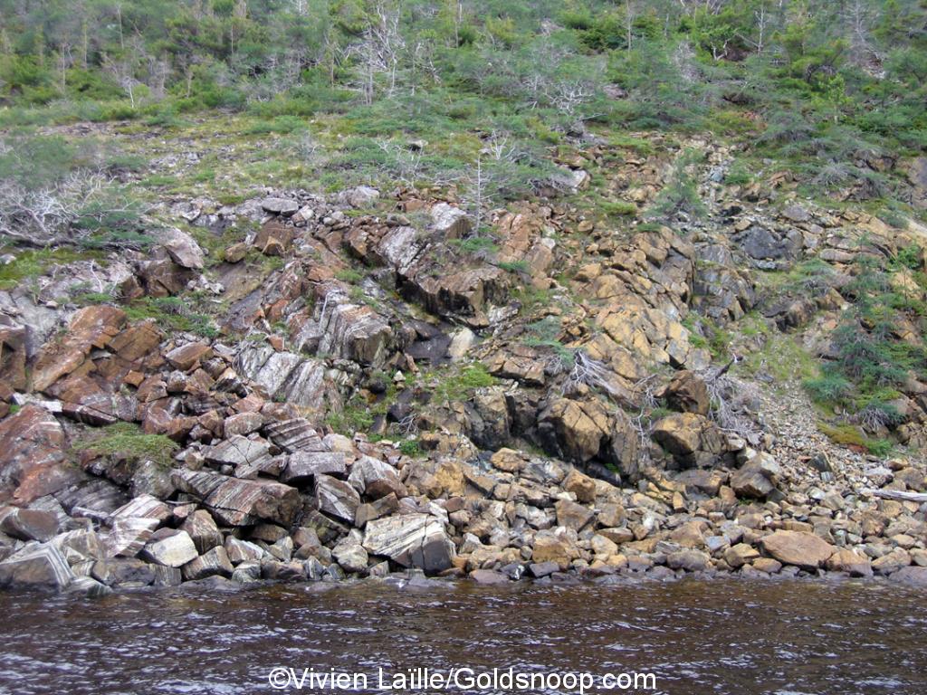 Gros Morne moho